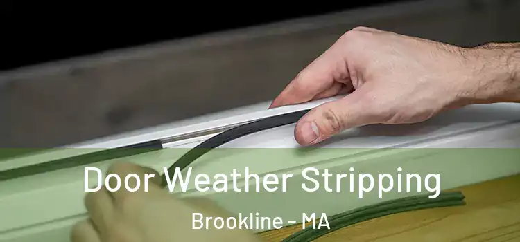 Door Weather Stripping Brookline - MA