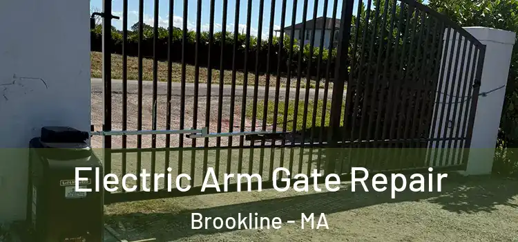 Electric Arm Gate Repair Brookline - MA