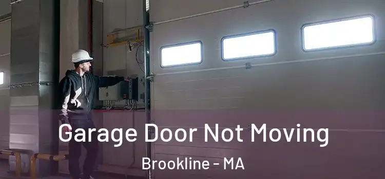  Garage Door Not Moving Brookline - MA