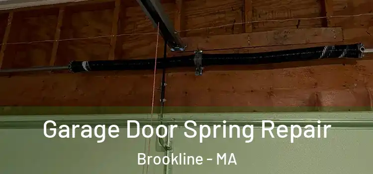  Garage Door Spring Repair Brookline - MA