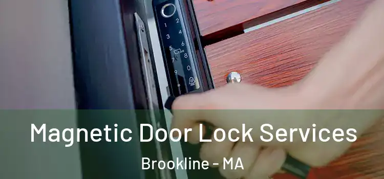 Magnetic Door Lock Services Brookline - MA