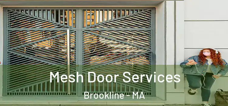 Mesh Door Services Brookline - MA