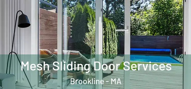 Mesh Sliding Door Services Brookline - MA