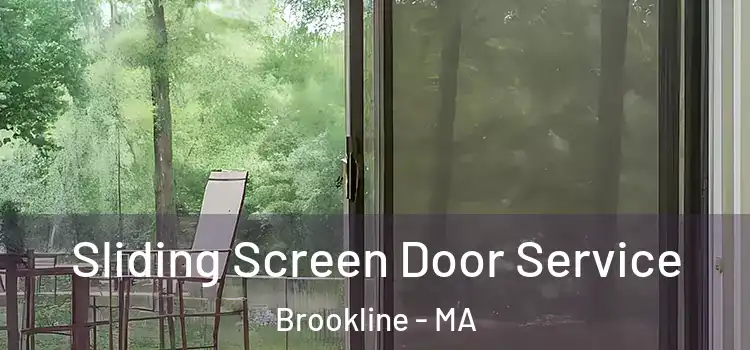 Sliding Screen Door Service Brookline - MA
